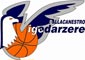 Pallacanestro Vigodarzere