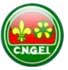 CNGEI