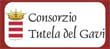 Consorzio