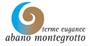 Consorzio Terme Euganee