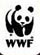 WWF