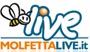 Molfettalive.it