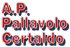 A P Pallavolo