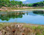 Il Lago del Recentino